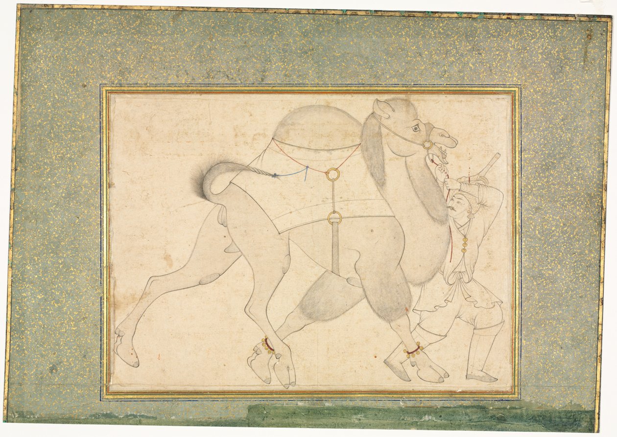 Kamel und Führer; Einzelblatt-Illustration von style of Shaykh Muhammad