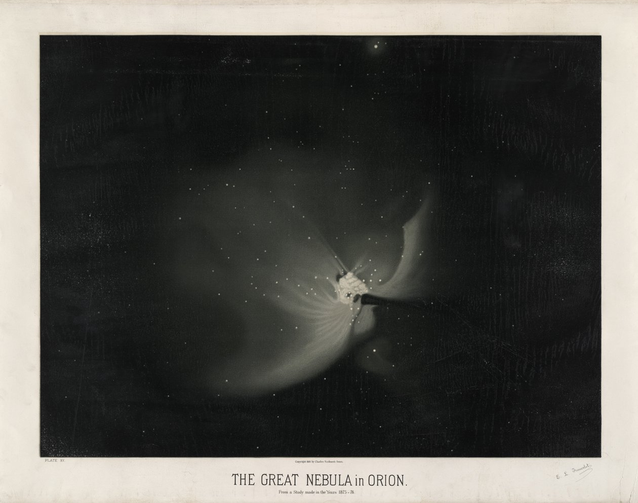 Der große Nebel im Orion. Nach einer Studie aus den Jahren 1875-76. (Tafel XV der Trouvelot Astronomischen Zeichnungen 1881-1882) von Étienne Léopold Trouvelot