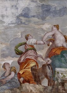 Fortune, Ambition und Neid, der Raum des kleinen Hundes (Detail) von Veronese