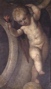Putto mit einer roten Blume von Veronese