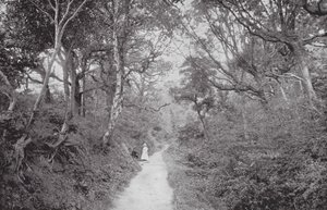Fairlight Glen von (after) English photographer