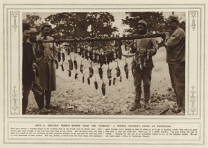 Ratten, eine größere Schützengraben-Plage als die Deutschen! Ein Fang eines französischen Soldaten zur Ausstellung (s/w Foto) von (after) English photographer