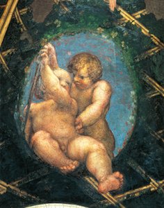 Ovate mit Putten (Detail der Dekoration aus der St. Pauls Kammer oder Äbtissinnenkammer) von (c.1489 1534) Correggio