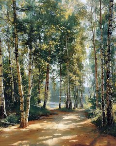 Gewundene Straße im grünen Wald