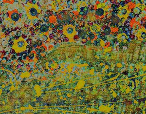 Blumen-Symphonie. von Margareta Uliarte