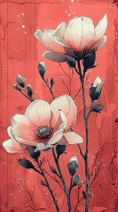 Weiße Rosen mit rotem Hintergrund von F. Abderrahim