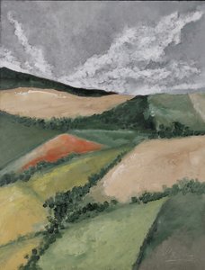 Mohnfeld