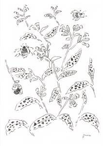 Hummel und Wildblumenstudie von june art