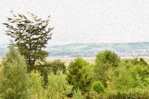 Natur Landschaft