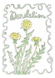Löwenzahn von june art