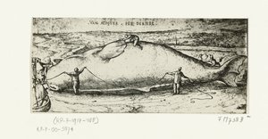 Druck des gestrandeten Wals bei Antwerpen, 2. Juli 1577 von A.B. van Deinse