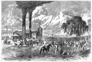 Zuckerplantage, New Orleans, 1870
