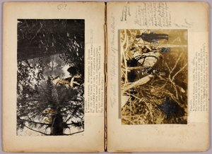 N. Amerikanische Indianer, Studienmappe für das Buch Concealing Coloration in the Animal Kingdom