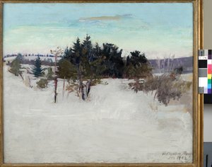 Winterlandschaft, 1902 von Abbott Handerson Thayer