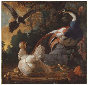 Ein Pfau, Geflügel und eine Elster in einer Landschaft, 1720