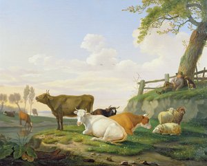 Kühe und Hirte