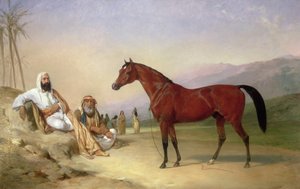 Zwei Beduinen mit einem Araberhengst in der Wüste