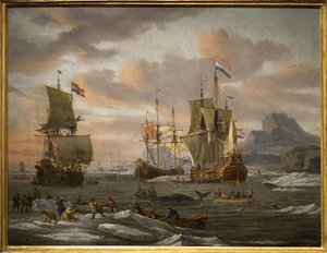 Walfang und Eisbärenjagd auf der Insel Spitzbergen (Arktischer Ozean) durch Schiffe der niederländischen Flotte