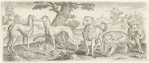 Hunde von Abraham de Bruyn (possibly)