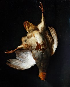 Ein Stillleben mit einem Rebhuhn, das an einem Nagel hängt von Abraham van Calraet