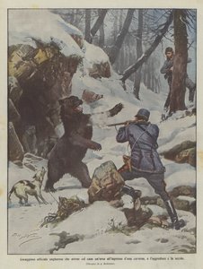 Mutiger ungarischer Offizier, der mit einem Hund eine Bärin an den Höhleneingang lockt, sie angreift und tötet von Achille Beltrame