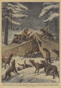 Gezwungen, in einem Wald in Transsilvanien wegen eines Motorschadens zu landen?