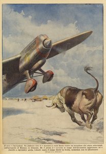 Der Stier und das Flugzeug von Achille Beltrame