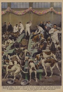 Das Fest der Hunde von Achille Beltrame
