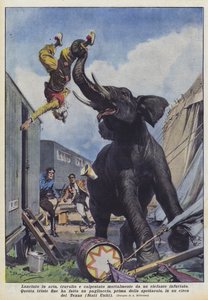 In die Luft geworfen, überrannt und tödlich von einem wütenden Elefanten zertrampelt
