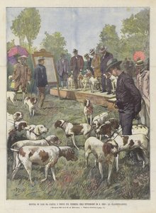 Jagdhundeausstellung Und Feldversuche Im Hippodrom Von S. Siro, Die Klassifizierung
