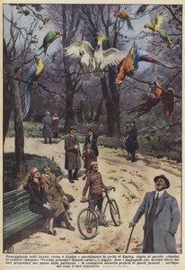 Beim Spaziergang in den Wäldern bei London, besonders im Epping Forest, begegnen friedliche