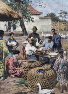 Kaiserlicher Palastgarten in Tokio: Impfung und tierärztliche Hilfe für Enten, um sie vor Cholera zu schützen. Illustration von Achille Beltrame aus dem Jahr 1928.