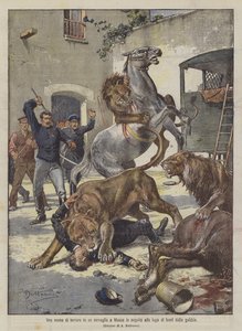 Eine Schreckensszene in einem Zirkus in Moskau nach der Flucht von Löwen aus dem Käfig von Achille Beltrame