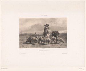Bauer mit Rind und Schafen aus der Auvergne Drucke nach Gemälden aus der modernen Schule L