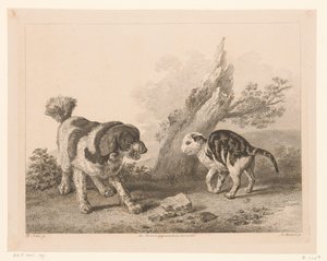 Hund und Katze in Kampfhaltung (Tiere nach Gemälden holländischer Meister) von Adam von Bartsch