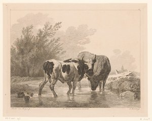 Zwei Kühe in einem Bach von Adam von Bartsch