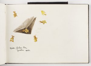 Skizzenbuch mit Tinten- und Graphitzeichnungen und Aquarellen
