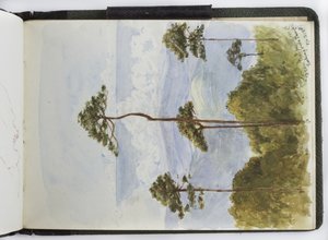 Skizzenbuch mit Aquarellen, Zeichnungen und Notizen, Mexiko, 1896-1898