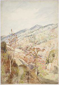 Bewaldetes Tal - Cuetzalan, Puebla, Golf von Mexiko von Adela Breton