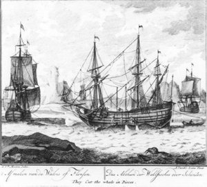 Das Abschlachten des Wals oder Flensen (Nr. 8 aus der Serie Walfang) von Adolf van der Laan