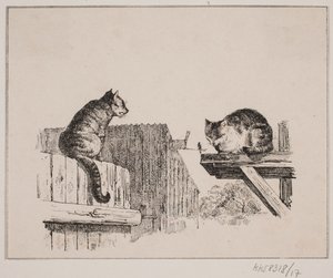 Die zwei Katzen