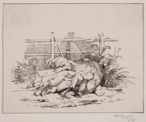 Die Schweine von Johan Adolph Kittendorff
