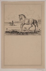 Das Pferd im Wasser. Nr. 22 in Chr. Winther und M. Rørbye, "25 Bilder für kleine Kinder" von Johan Adolph Kittendorff