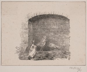 Die Hühner und Enten