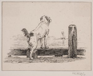 Hund am Strand