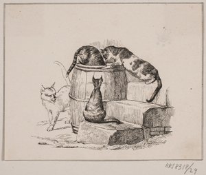Die Katzen von Johan Adolph Kittendorff