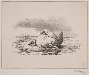 Die Küken von Johan Adolph Kittendorff