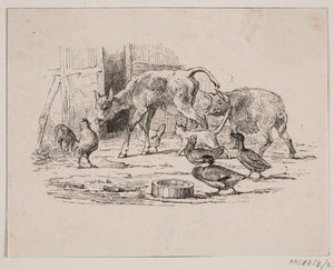 Das Kalb von Johan Adolph Kittendorff