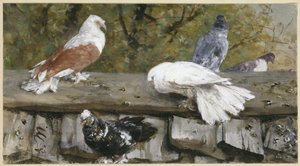 Tauben auf einem Holzdach. Aus dem "Kinderalbum" von Adolph Menzel