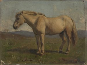  von Adolph Tidemand